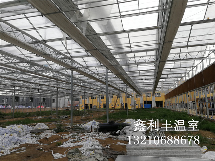 河北省固安县城东花卉市场