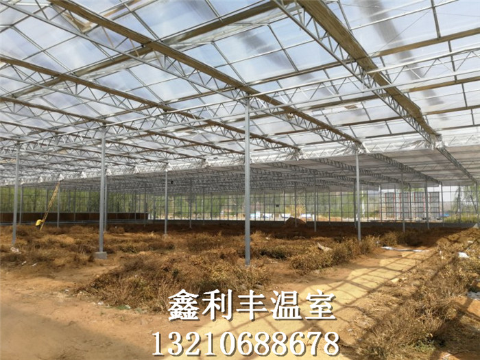 青州市鑫利丰温室科技有限公司