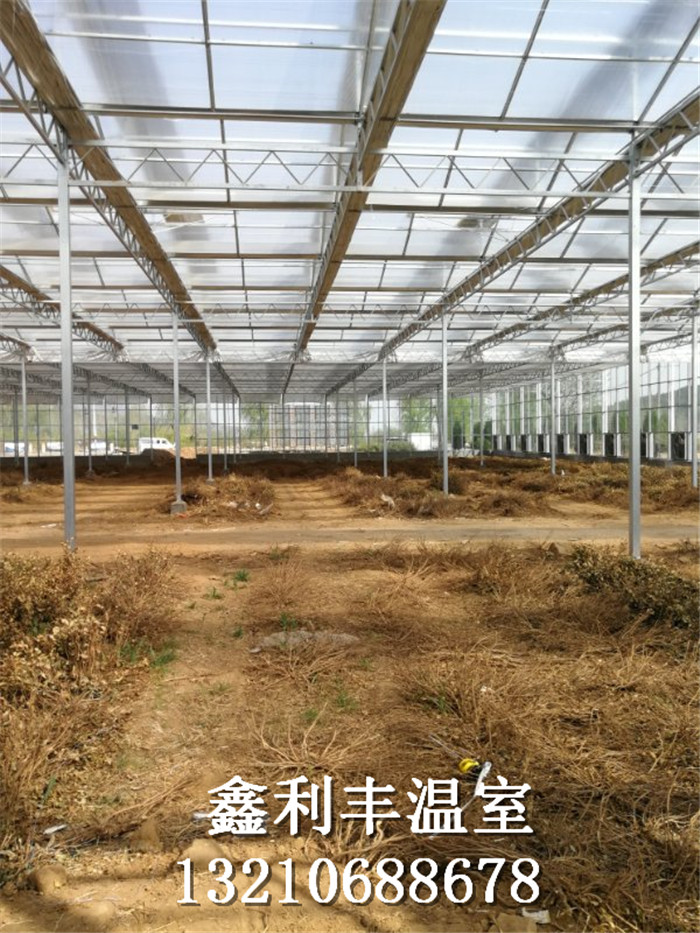 青州市鑫利丰温室科技有限公司