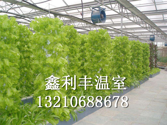 供应立柱栽培植物工厂无土栽培工程景观温室